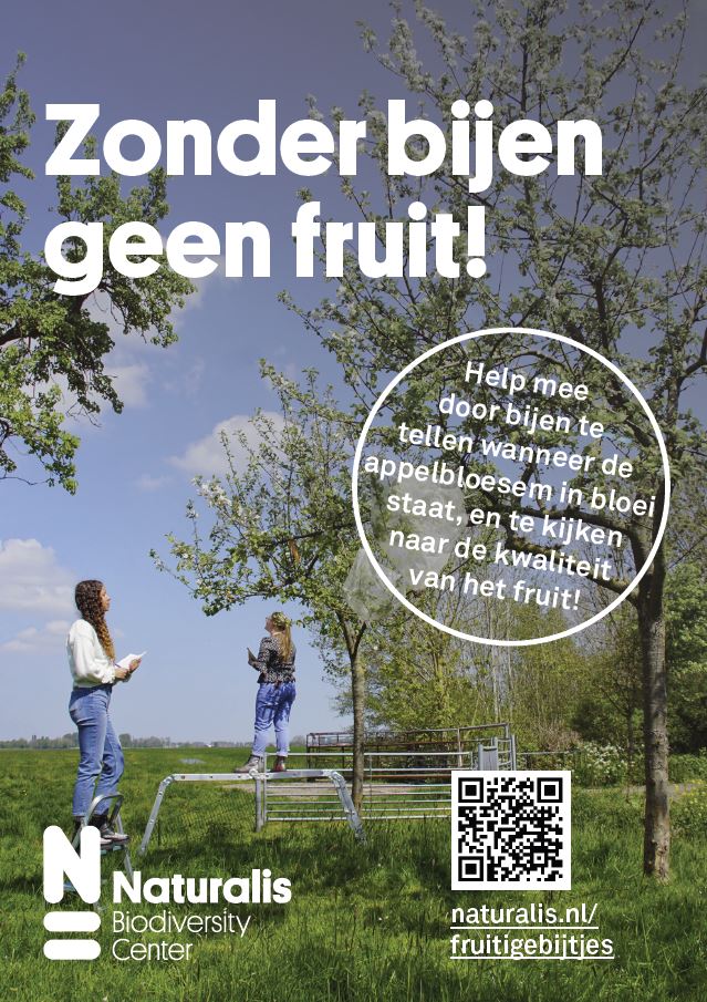 Poster Fruitige Bijtjes
