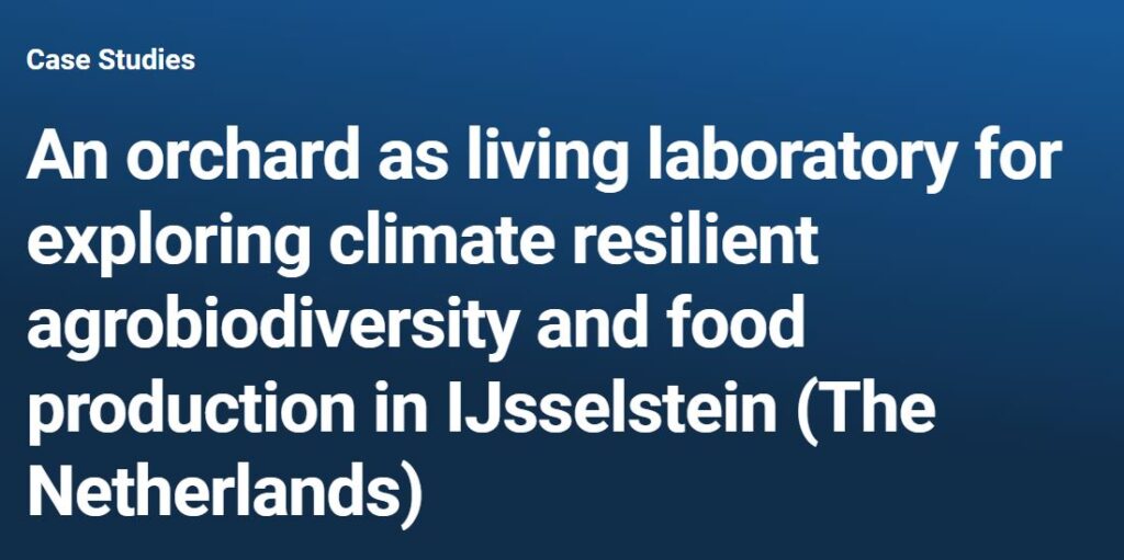 afbeelding case study