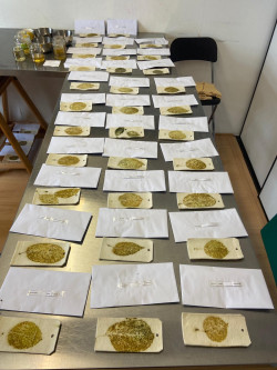 Een tafel vol bladeren en enveloppen Een tafel vol bladeren en enveloppen - door Karen Bruinsma