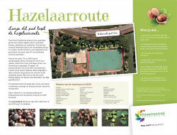 Hazelaarroute Hazelaarroute