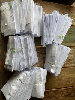 Enveloppen gevuld met bladeren - foto Karen Bruinsma