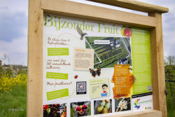 Infobord Fruit - Foto Herbert Ziher Infobord Fruit - Foto Herbert Ziher