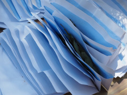 Bladeren drogen buiten Bladeren drogen buiten