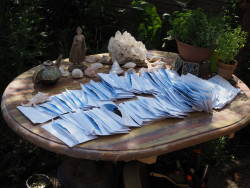 Bladeren drogen buiten Bladeren drogen buiten