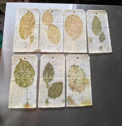 Eerste proef Eerste proef door Karen Bruinsma