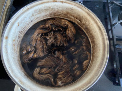 Garens in de pan Garens in de pan door Karen Bruinsma