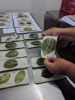 Proeven met ijzer door Karen Bruinsma Proeven met ijzer door Karen Bruinsma