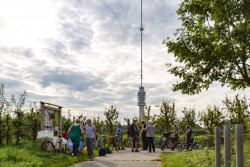 Als altijd vormt de Gerbrandytoren een mooie achtergrond