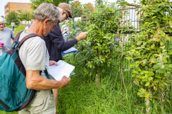Goed kijken op de lijst voor determinatie