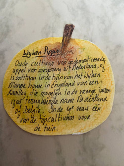 Appeltje van Wilma de Vente