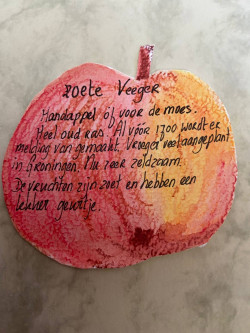Appeltje van Wilma de Vente