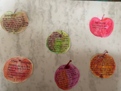 Appeltjes van Wilma de Vente